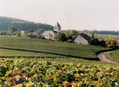 Vrigny & Arlaux Vineyard