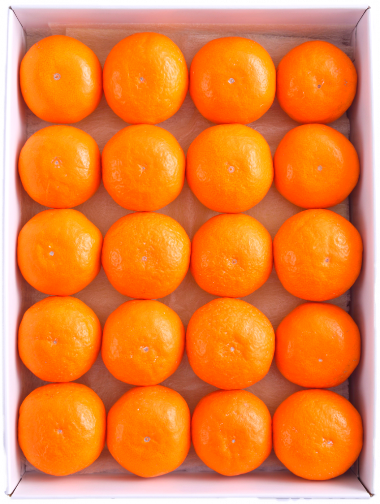 kijuku-3kg