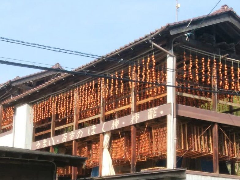 百市のほし柿 吊るしている様子