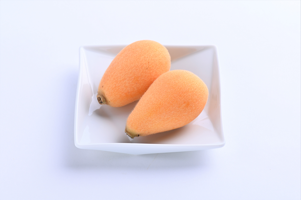 茂木びわ