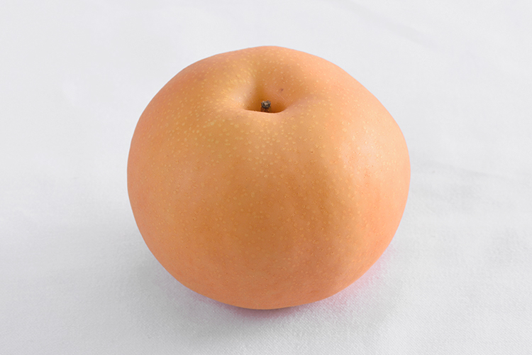 renewal_ka_takashimaya_nansuipear