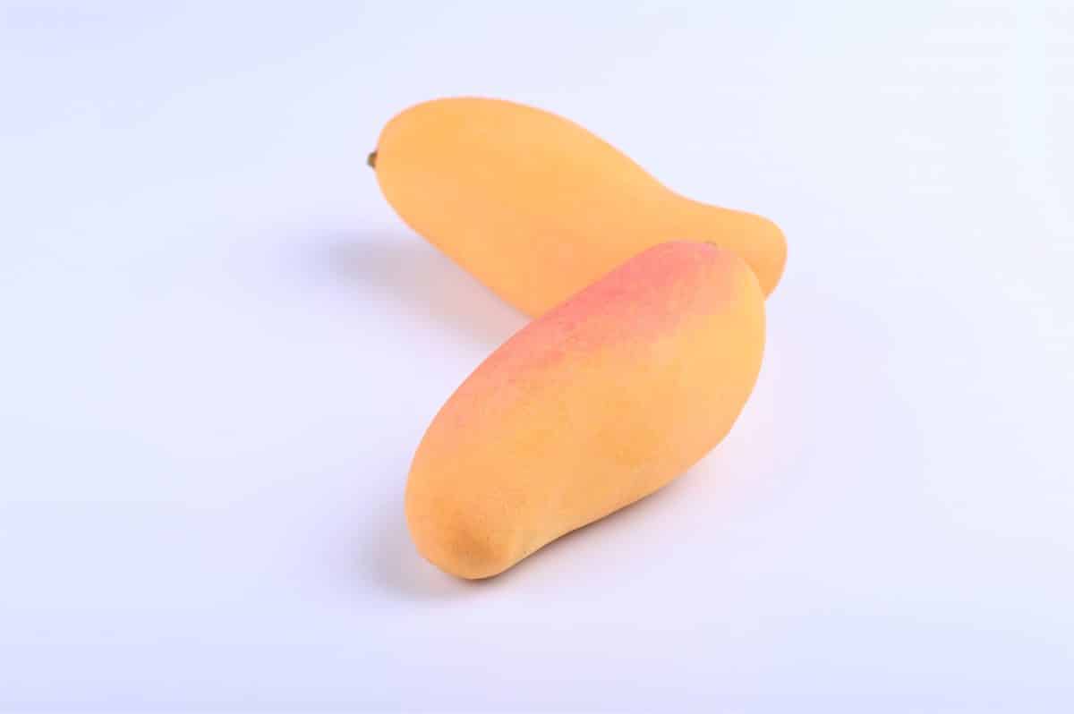 タイマンゴー
