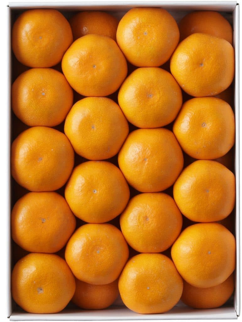蜜柑5kg