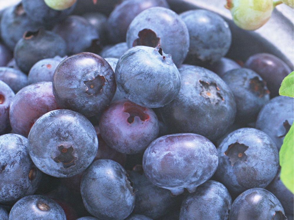 juice_blueberryyogurt