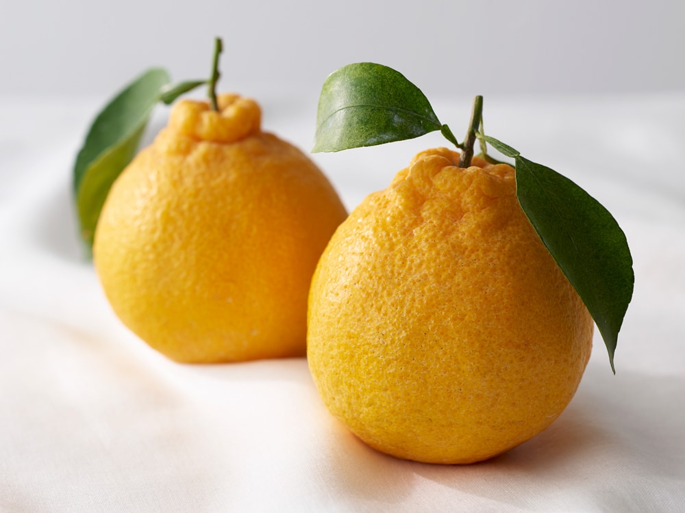 juice_dekopon