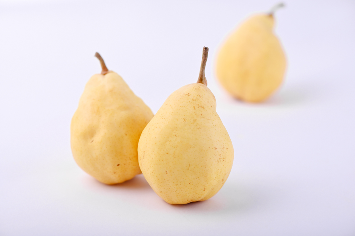 fruits_le_lectier