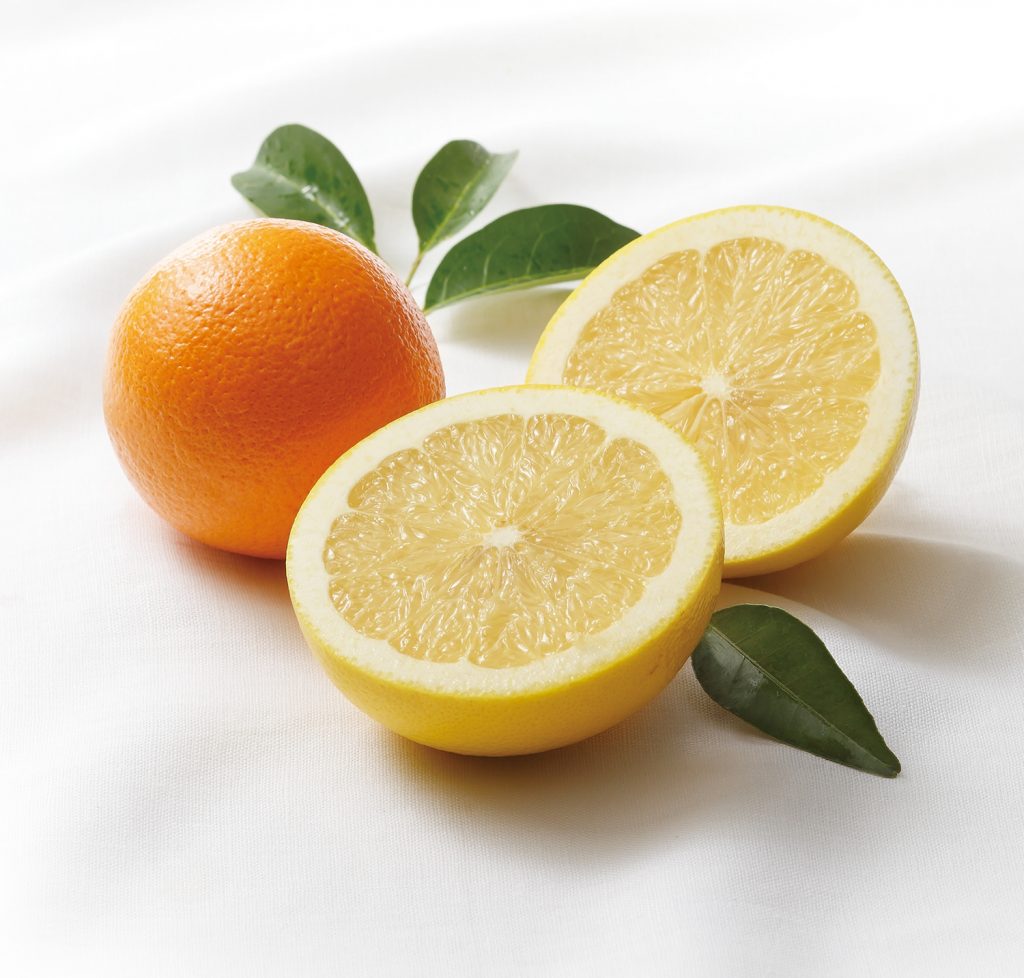 yokohama_citrusjuiece_image-1024x978