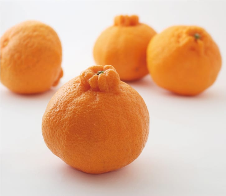 千疋屋総本店 日本橋本店 かごしまフェア 大将季