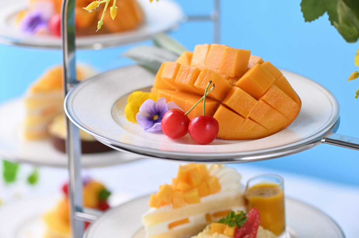 afternoon_mango2024_2