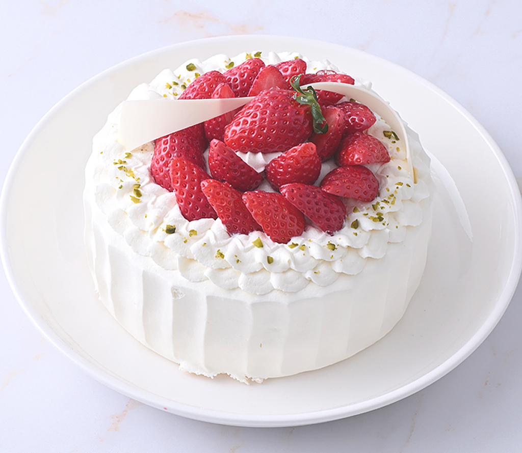 SS_QSdecorationshort_5size